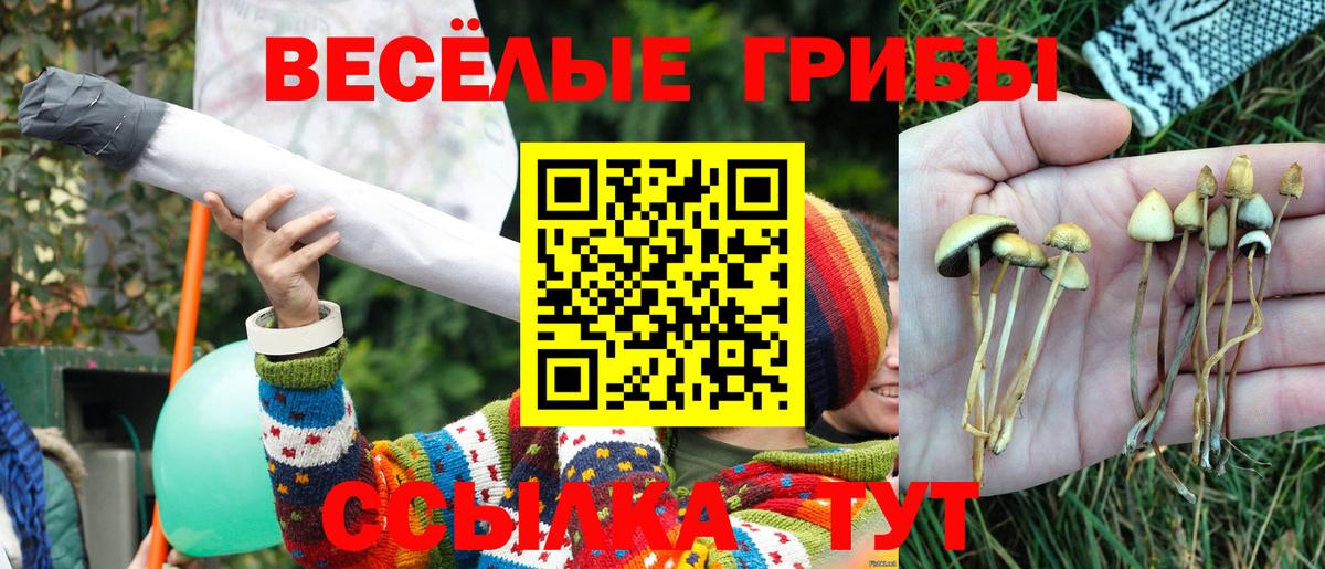 Галлюциногенные грибы Psilocybine cubensis  Вход с VPN  Слободской  Псилоцибиновые грибы мухоморы 