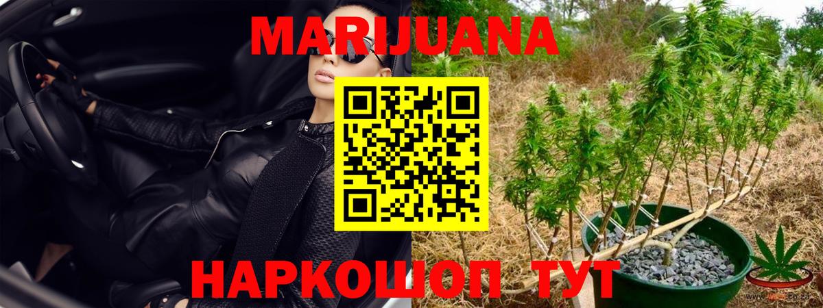 Конопля индика Слободской